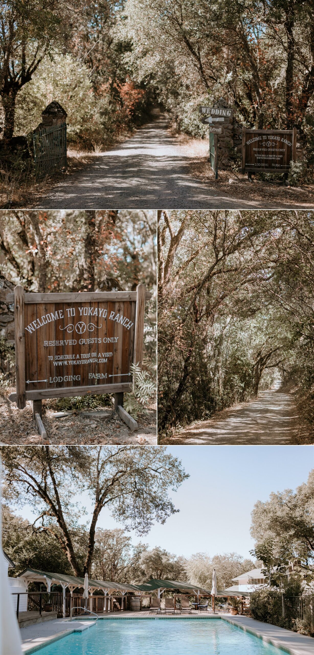 Gretchen Gause Photography | Yokayo Ranch Weekend Getaway Wedding #yokayoranchwedding #campoutwedding #weddingweekend #weddingphotos