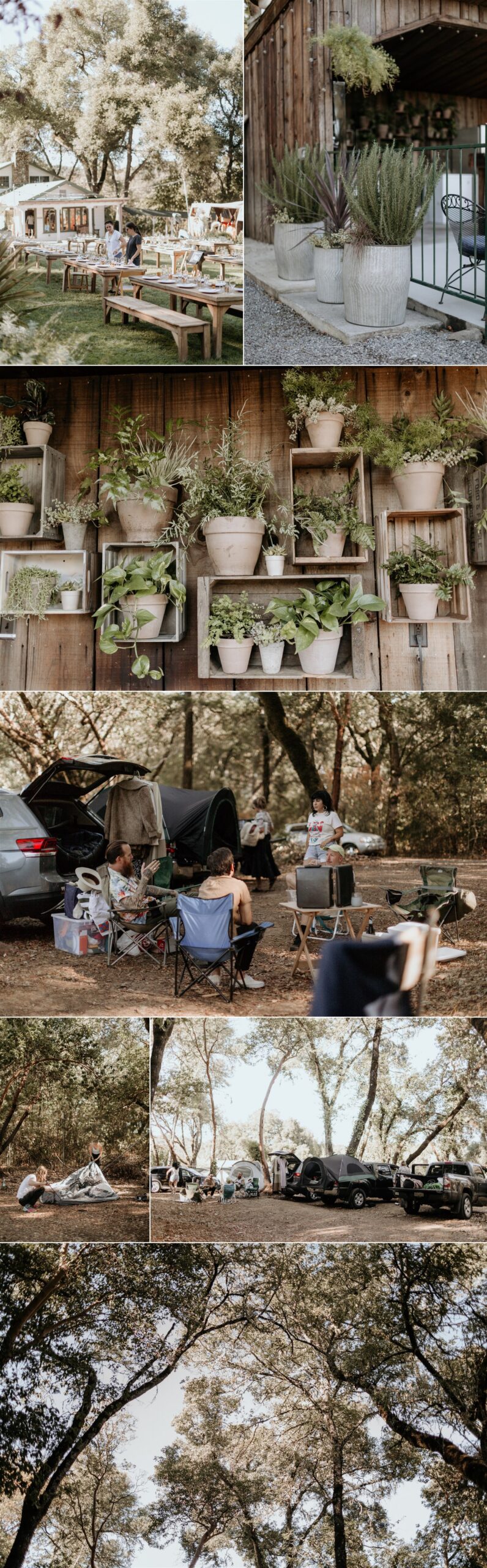 Gretchen Gause Photography | Yokayo Ranch Weekend Getaway Wedding #yokayoranchwedding #campoutwedding #weddingweekend #weddingpros