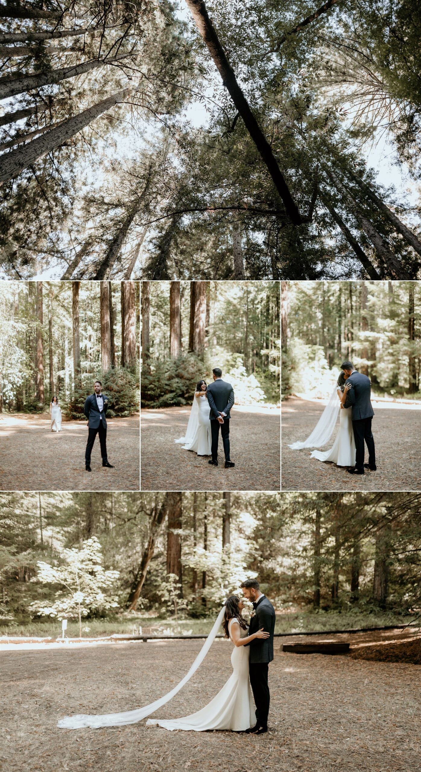 Gretchen Gause Photography // Chenoweth Woods Wedding, Sebastopol #chenowethwoodswedding #chenowethwoodsweddingphotograpehr #sebastopolweddingphotographer 