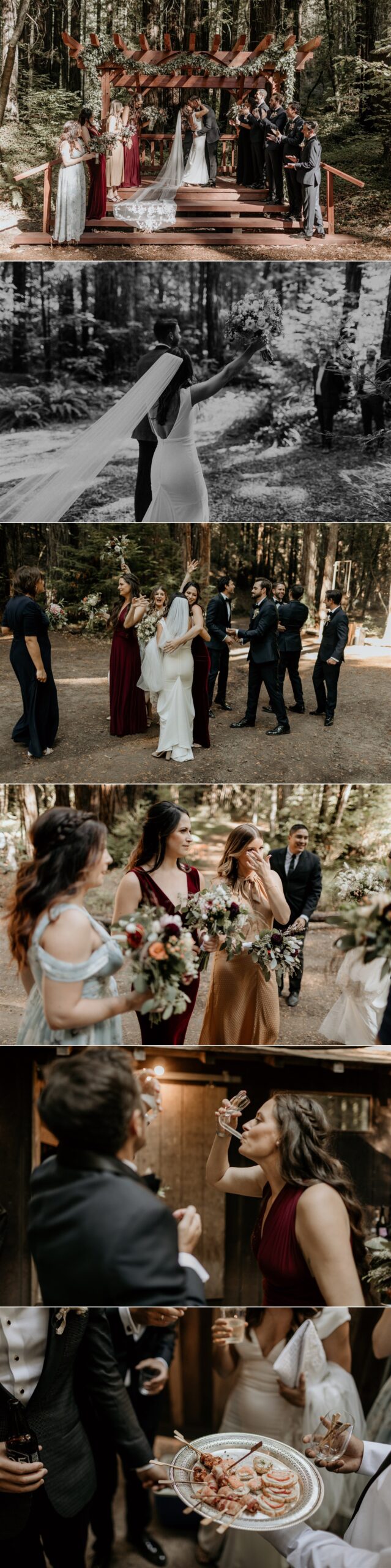 Gretchen Gause Photography // Chenoweth Woods Wedding, Sebastopol #chenowethwoodswedding #chenowethwoodsweddingphotograpehr #sebastopolweddingphotographer 