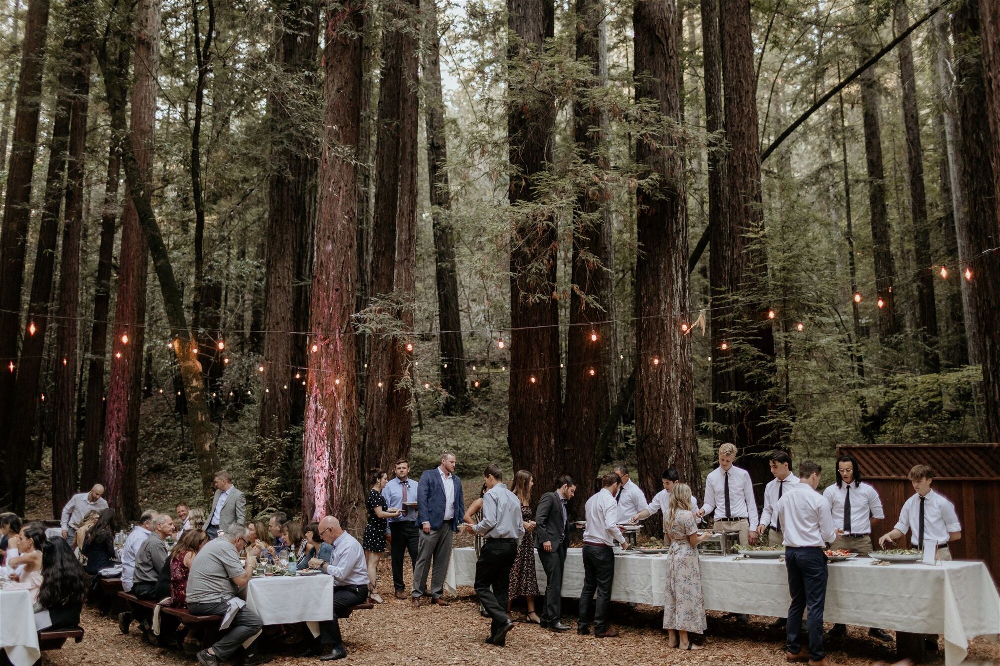 Gretchen Gause Photography // Chenoweth Woods Wedding, Sebastopol #chenowethwoodswedding #chenowethwoodsweddingphotograpehr #sebastopolweddingphotographer 