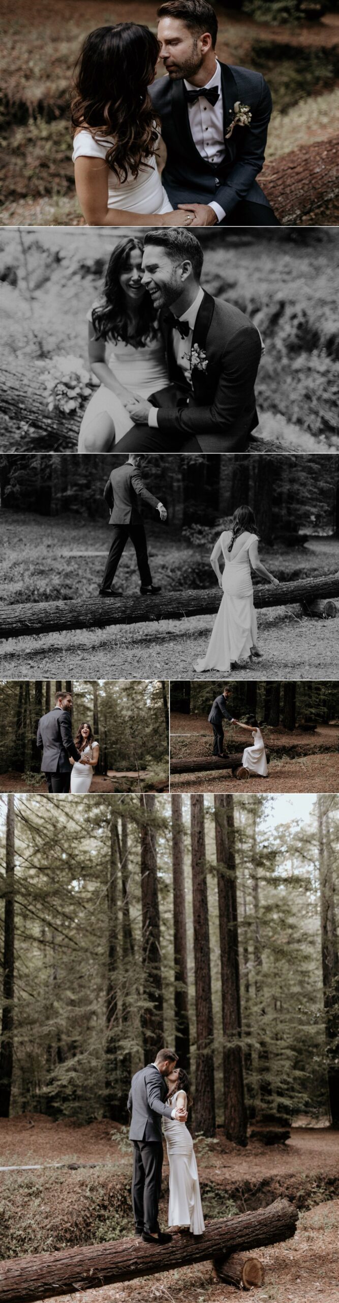 Gretchen Gause Photography // Chenoweth Woods Wedding, Sebastopol #chenowethwoodswedding #chenowethwoodsweddingphotograpehr #sebastopolweddingphotographer 