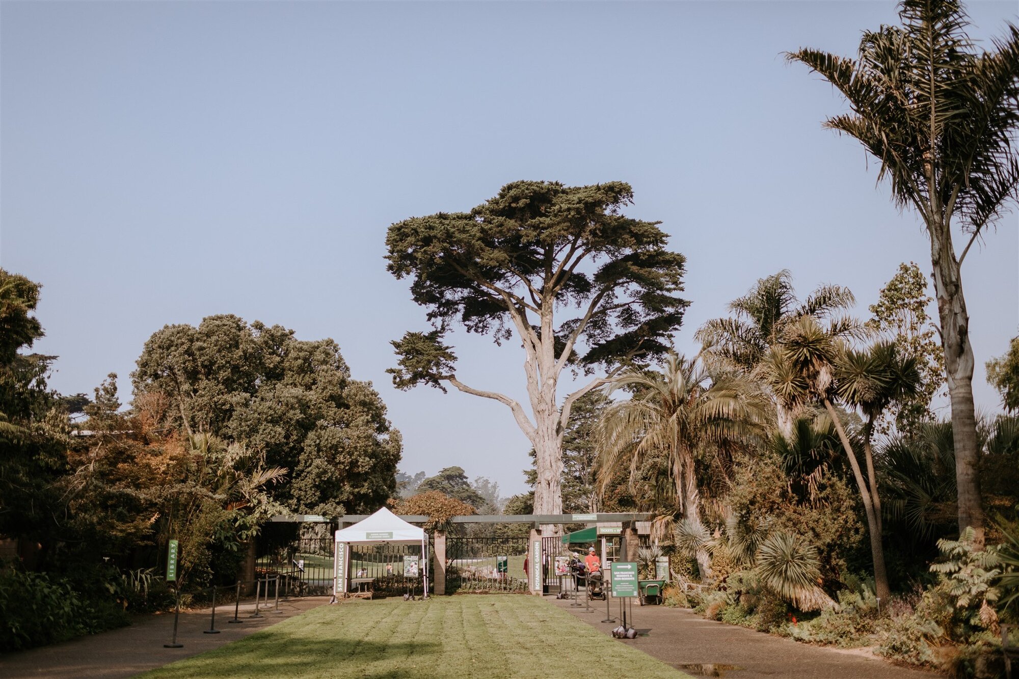 Gretchen_Gause_Photo_san-francisco_Botanical_Gardens_Elopement_Photo_0001.jpg