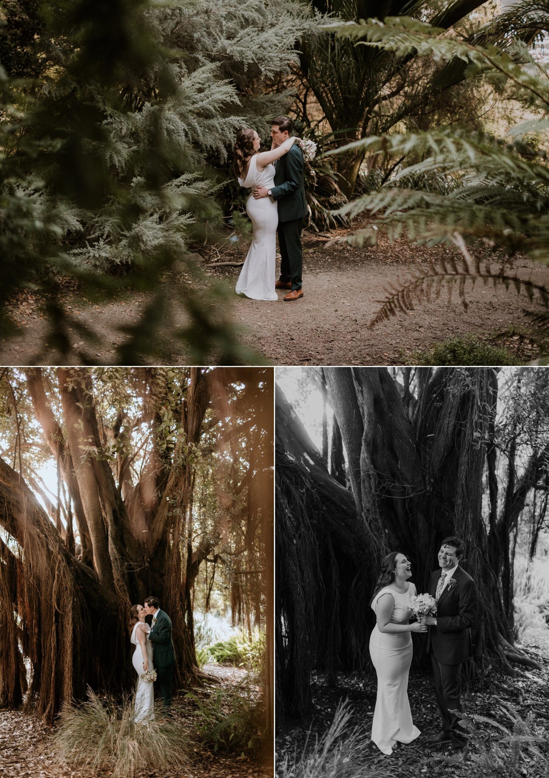 Gretchen_Gause_Photo_san-francisco_Botanical_Gardens_Elopement_Photo_0008.jpg