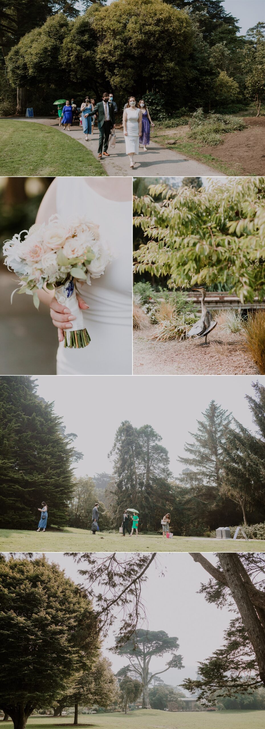 Gretchen_Gause_Photo_san-francisco_Botanical_Gardens_Elopement_Photo_0015.jpg