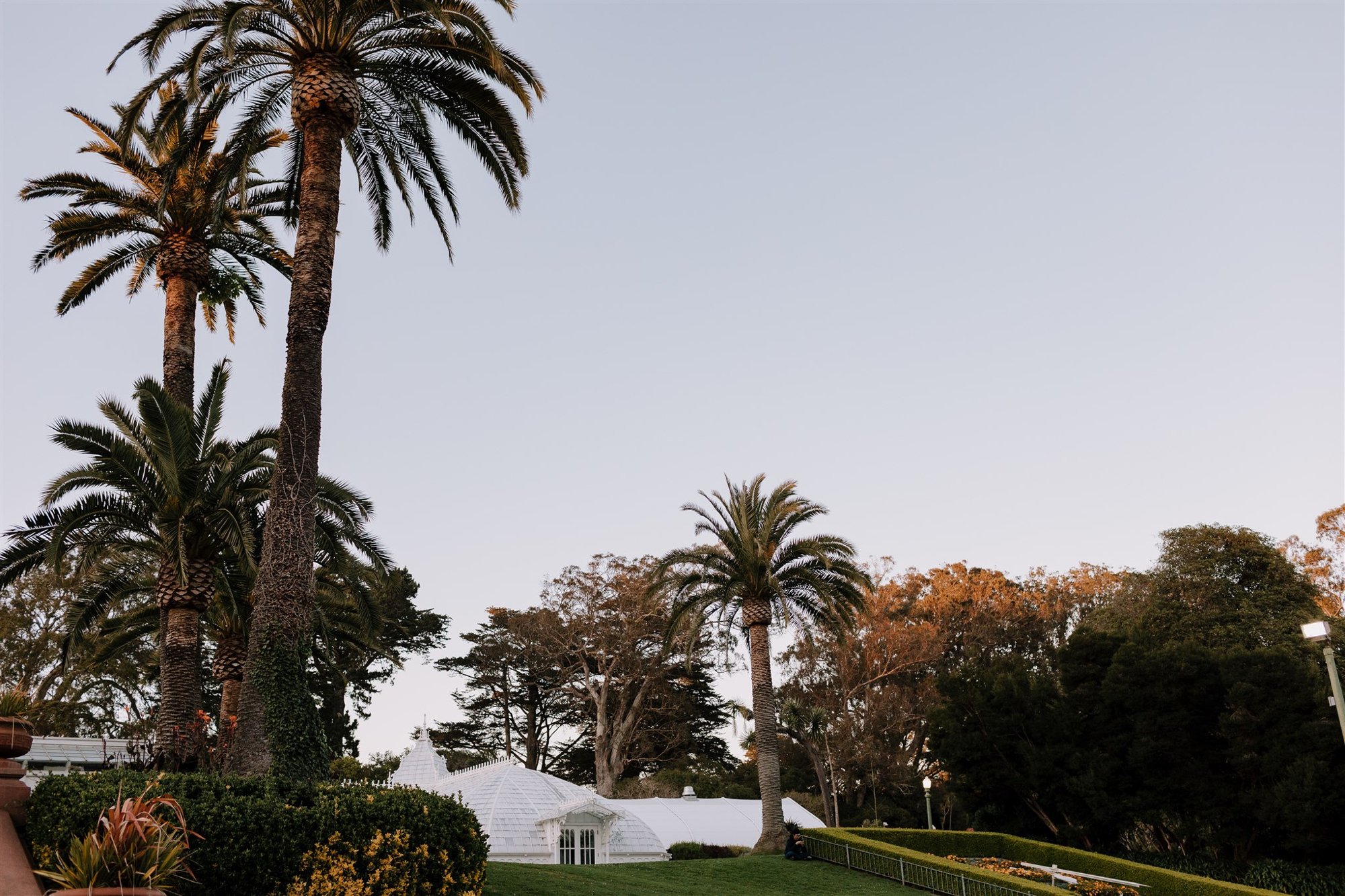 Gretchen_Gause_San_Francisco_Conservatory_of_Flowers_Wedding_Photo_0013.jpg